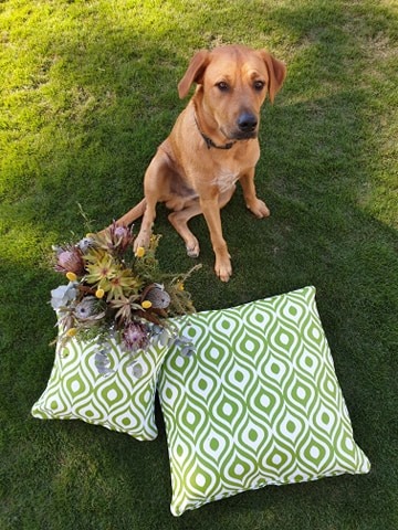 Kasule Imports Outdoor Cushions Kasule Imports Outdoor Cushions